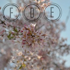 FOE - My Summer