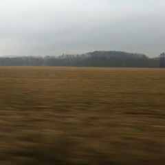 Live Guitar / Borderlands Granular