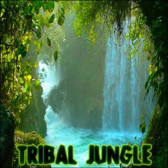 Derek & Brandon Fiechter - Tribal Jungle - 18 Forgotten Tribe