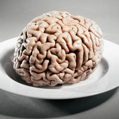 billions of brain cellS (disquiet0124-deriveandthrive)