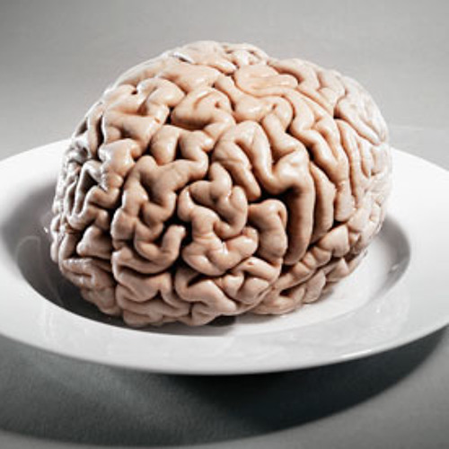 billions of brain cellS (disquiet0124-deriveandthrive)