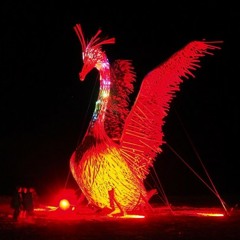 Why Did You Come Here?