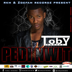 Pedi Nwit - ToBy (Prod By RKM & Skinny F BEATS ) MASTER 2