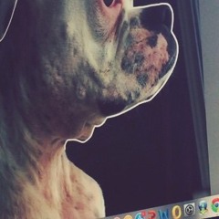 The Indefatigable Frozen