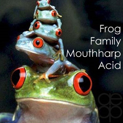 A333 - Frog Family Mouth Harp Acid (in E Major) - Animal Farm (EP) Track 8