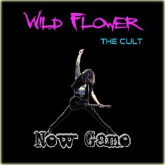 The Cult - Wild Flower (New Game cover)