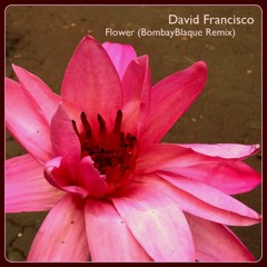 David Francisco - Flower (Remix)
