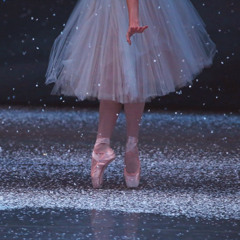 ﻿Ｇｒａｃｅｆｕｌ  Ｂａｌｌｅｒｉｎａ  ～