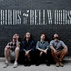Birds Of Bellwoods - Idioteque (Radiohead Cover)