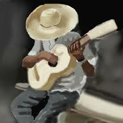 sertanejão raizes