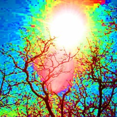 Sunshine Acid [220].wav