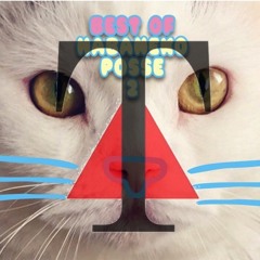 ちゃんねこサンバ  [The Triangle -SUPER BGM- ver.]