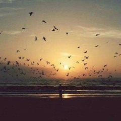 سورة  المنافقون مشاري البغلي