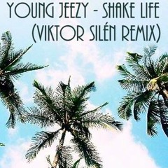 Young Jeezy - Shake Life (Viktor Silén Remix)