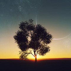 Ambient Mixtape Vol. 12