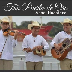El Zacamandu - Trio Puerta De Oro
