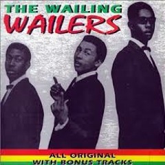 Indeo Irie Meets The Wailing Wailers - Sunday Morning