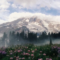 Moon Song With Added Harmonies