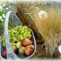 FREEDOM - Saleinu Al Ktefenu    סלינו על כתפינו