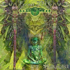 Palex & Psytuga - Psycho killer_V.A. Forest THC Compiled by Tripura Yantra Records