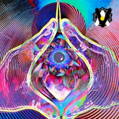 hypnoid ft. Sunny Malin (prod. Whip Graze)