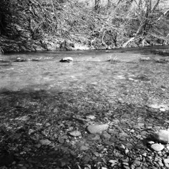 The Plains of Dancing Windows by Pala Leda