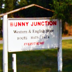 Bunny Junction