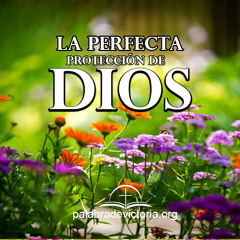 La Perfecta Protección De Dios