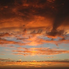 Los animales que olvidó Noé - Ditirambo 1 (maqueta)