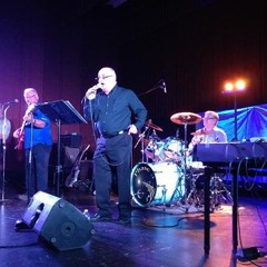 The Blue Crystals - Lost in the Fifties