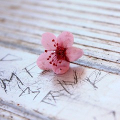 Jenny Tanz zum SSB  24.5.2015/sven wax/