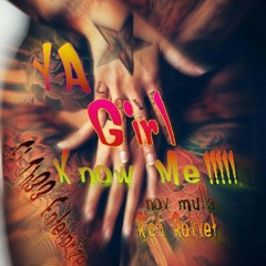 Fi th33 Enterprize ft Nov mulla.. Ya girl know