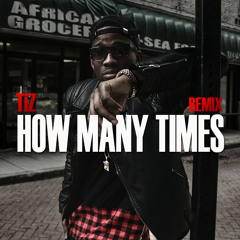 TiZ - How Many Times (Remix)