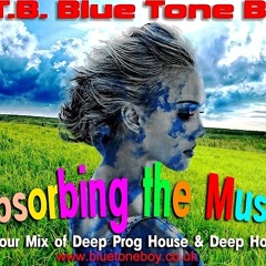 B.T.B. ~ Absorbing The Music * Deep prog House & Deep House Mix *