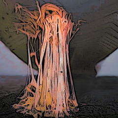Gum