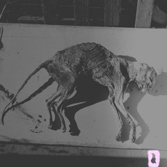 Blonde Heather - Caturańga (ft. Trisicloplox)(From 'Self Harm EP', out 29/06/15)