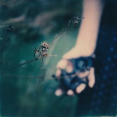 Nunca Conocí El Sol