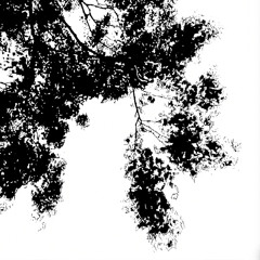 Canzone 1 (2015) viola