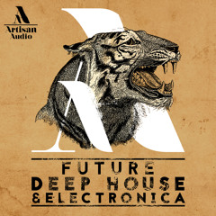 Future Deep House & Electronica
