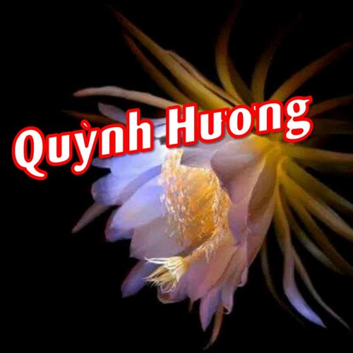 QUỲNH HƯƠNG -Sáng tác: Trinh Công Sơn -Trình bày: Trịnh Vĩnh Trinh