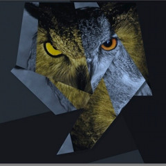 5A.M. In Toronto Snippet