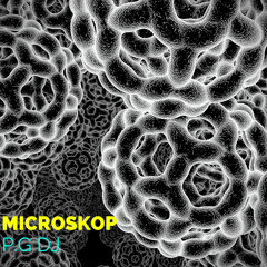 Microskop P.G DJ