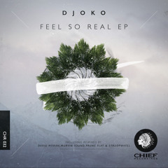 DJOKO - Feel So Real (David Moran Sub Dub)