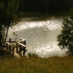mondymuddy