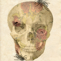 Erixon - The Bees (Original - Beta)