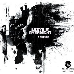 Leave It Overnight - C Future - Next Level Productions - Preview Clip