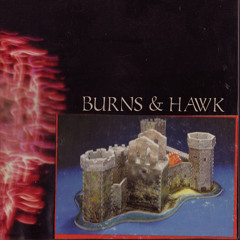 Willie Burns & Torn Hawk - "Becoming Nice"- VV-017
