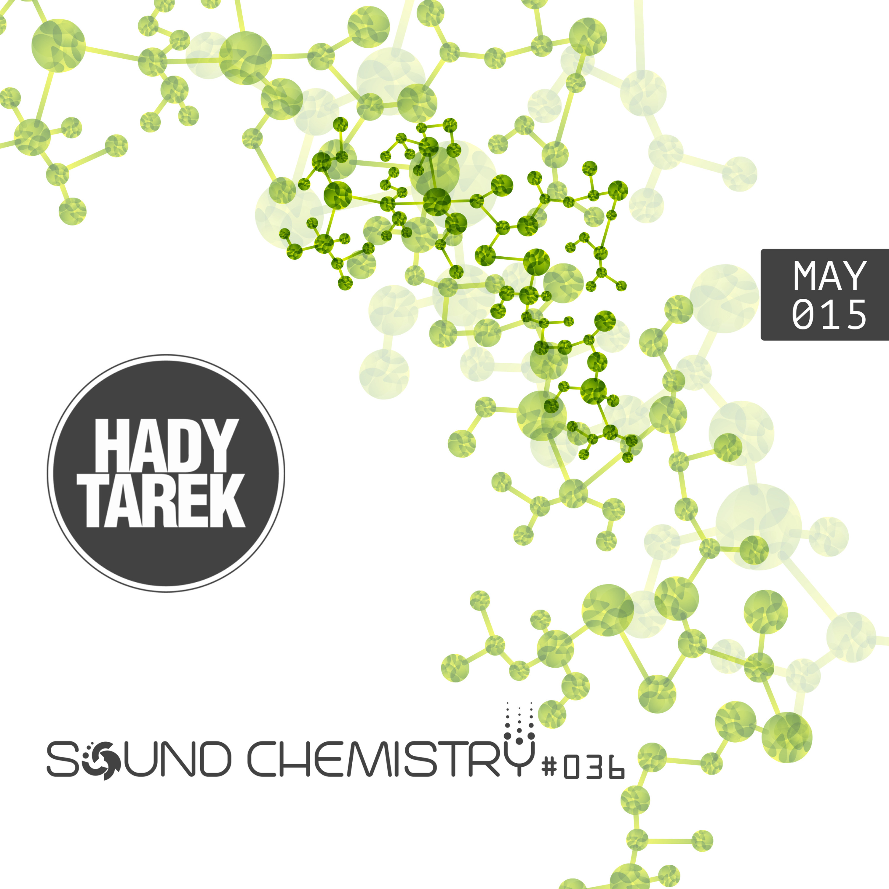 Hady Tarek