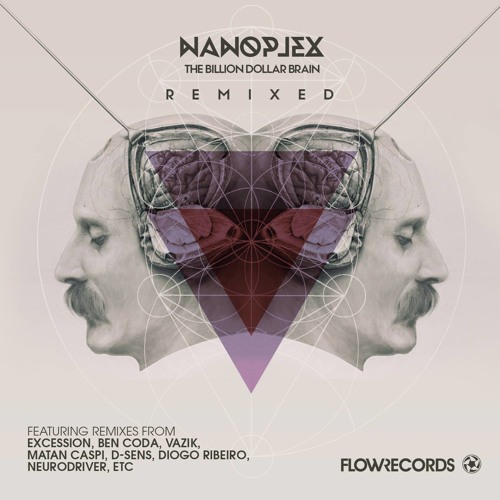 FLR1529CDig - Nanoplex - Binary Awaking - D-Sens Sunrise Remix Clip