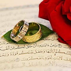 سلسلة الزّواج - الطريق إلى الزواج (2) - الشّيخ هاني حلمي